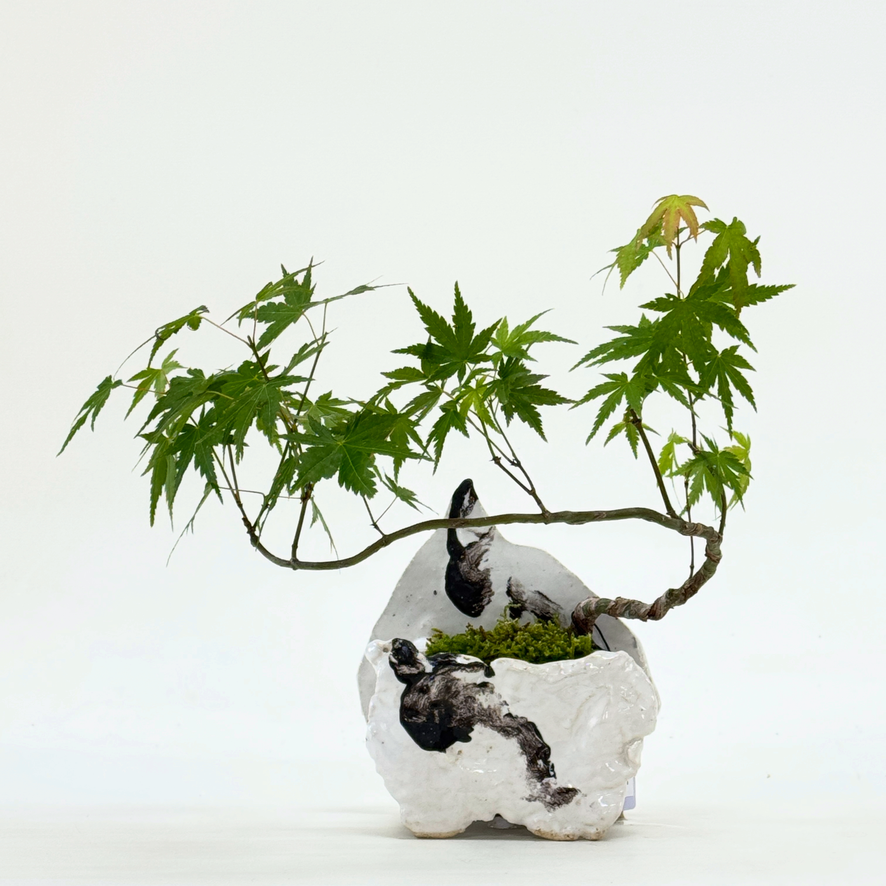 Gallery 02EE5697-D5B6-4E3C-8F98-A4574A6B3A65