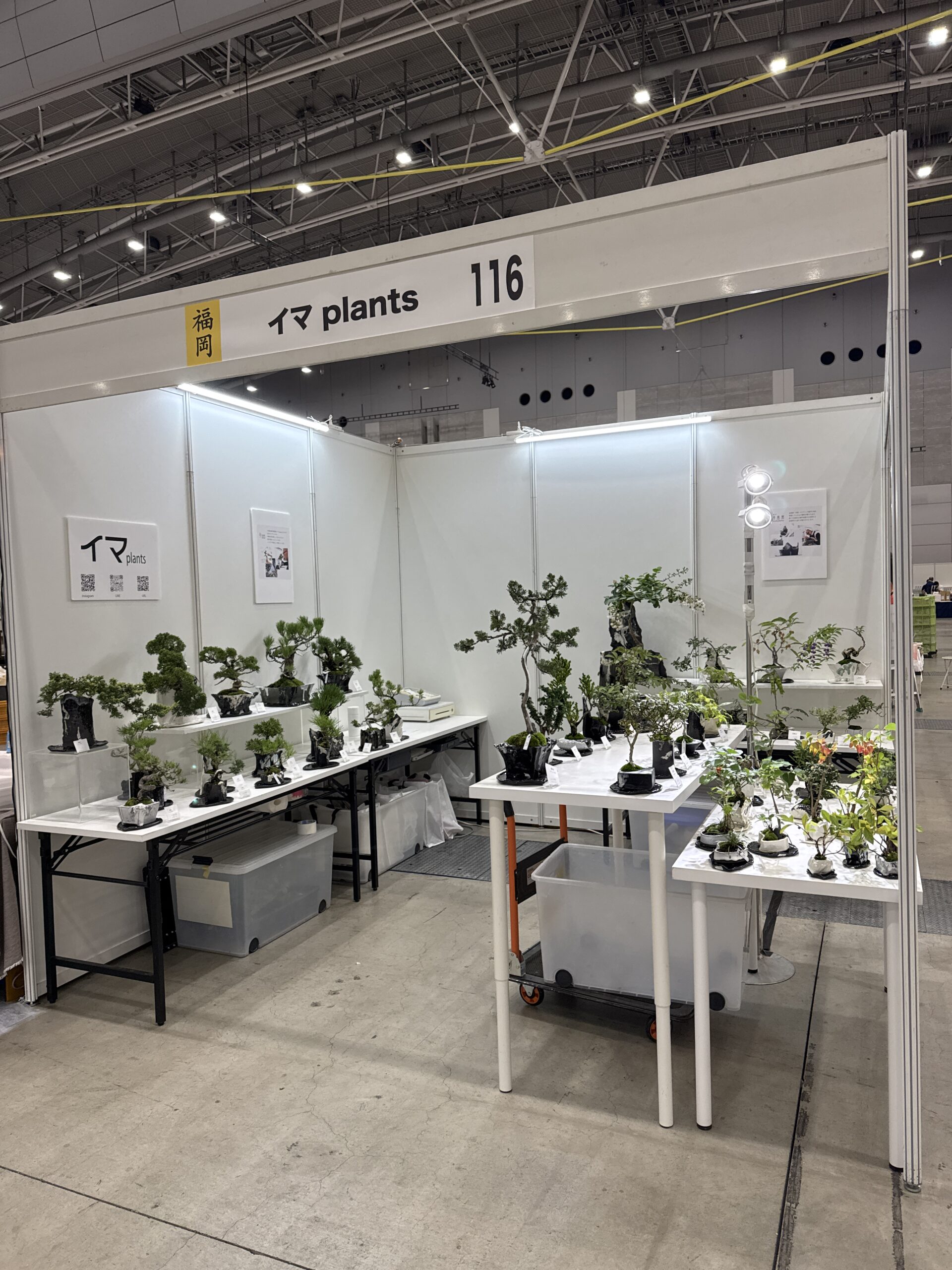 西日本陶磁器フェスタ