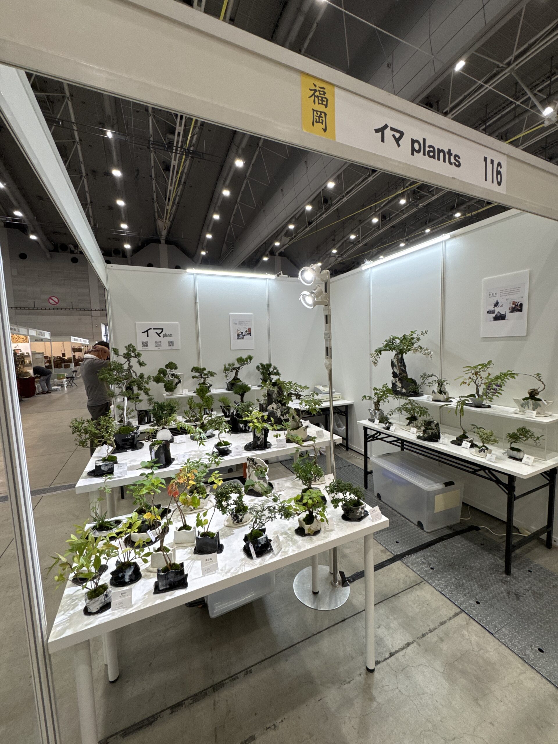 西日本陶磁器フェスタ