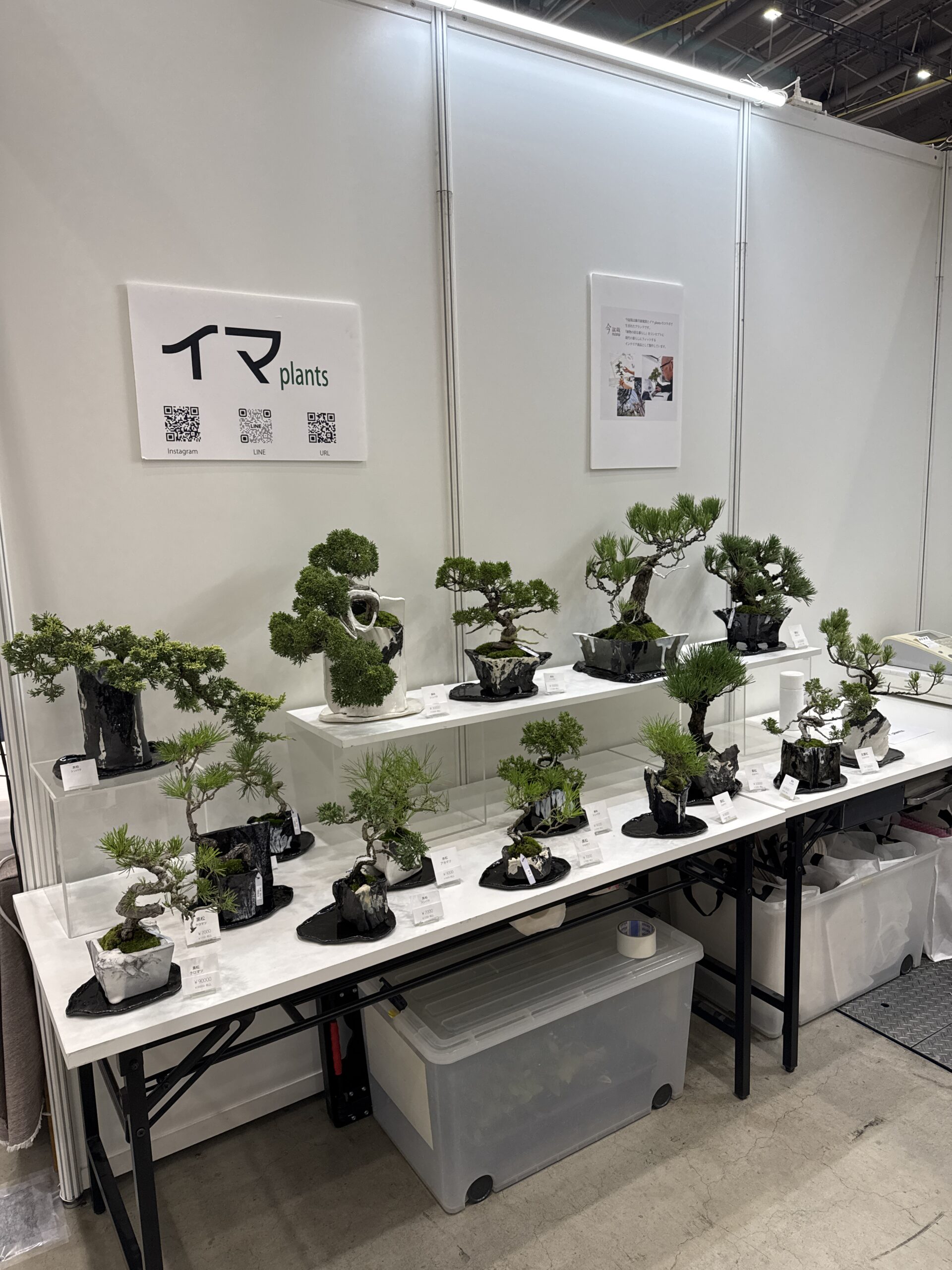 西日本陶磁器フェスタ