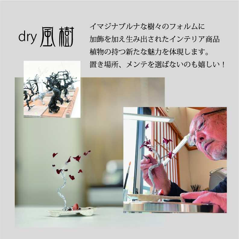 dry風樹