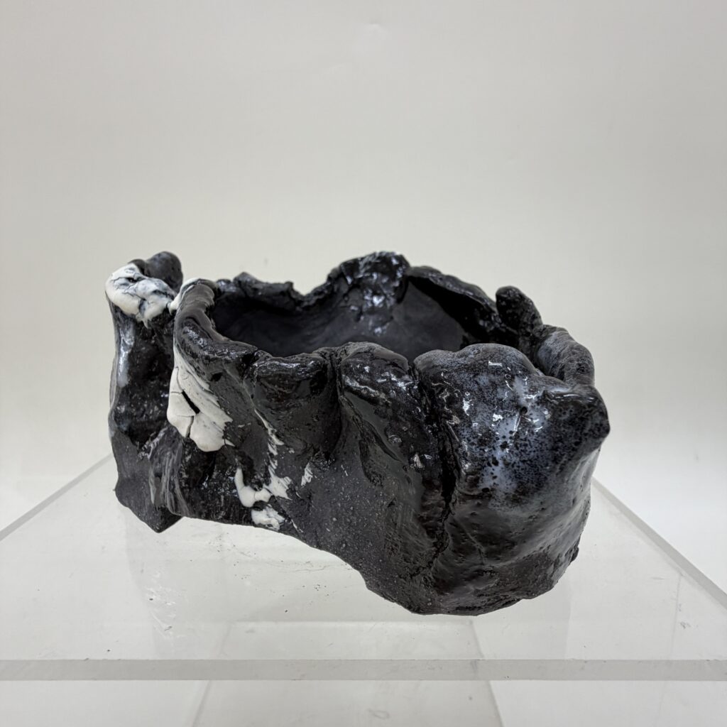 藤井康風窯　鉢