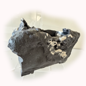 藤井康風窯　鉢