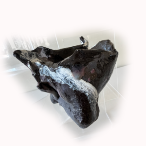 藤井康風窯　鉢