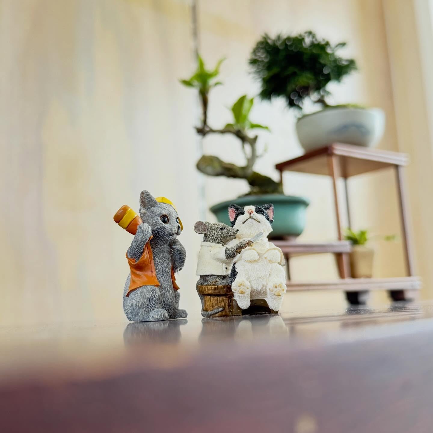ミニ盆栽ディスプレイに猫フィギュア参入とても可愛い