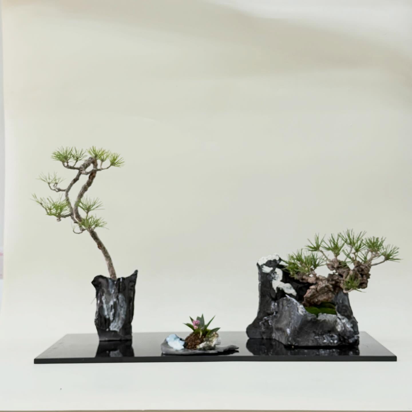 明日からの植物園での盆栽展　展示シュミレーション　直前の催事で展示予定品2点売れちゃって　大慌てのセットアップです