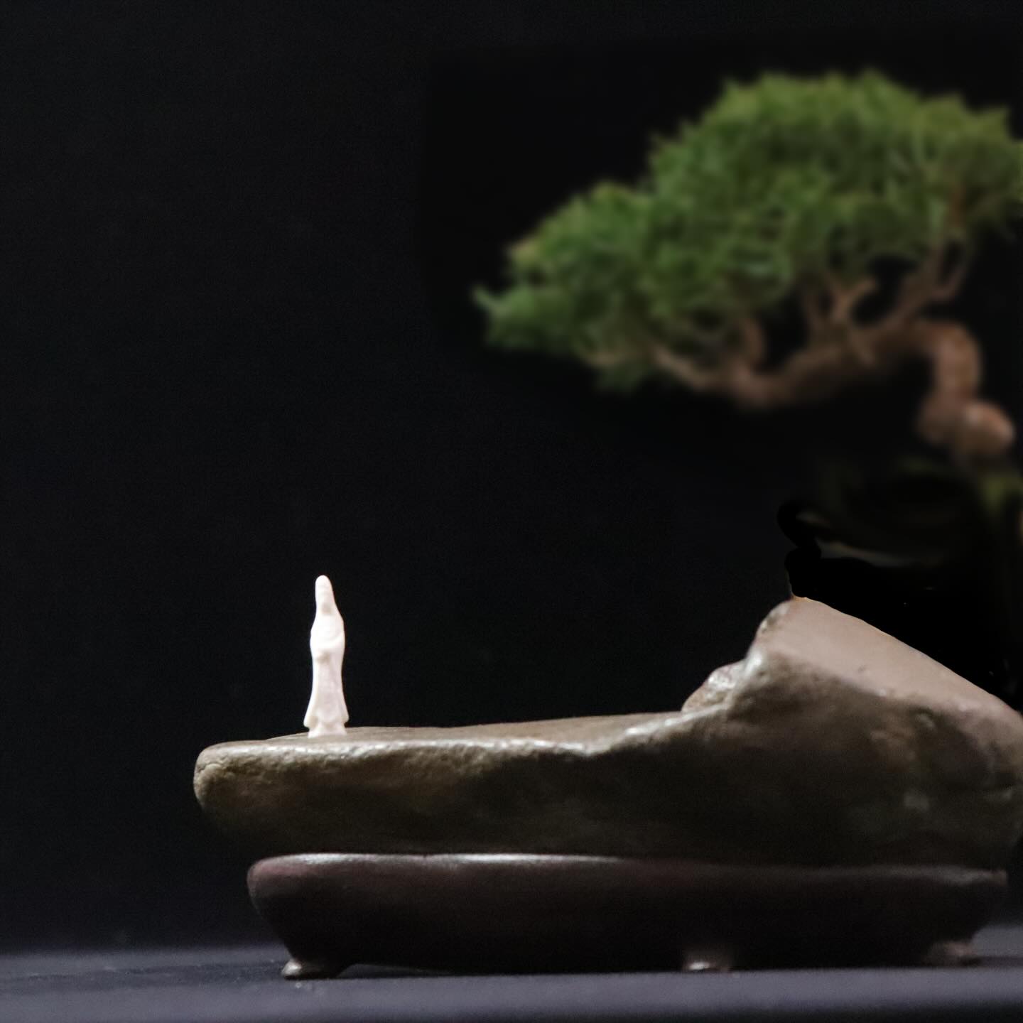 掌中の山河。一石、一樹に宿る宇宙。個展に向けたメインビジュアルのひとつ。小さな石の上に、あなただけの山河を見つけてください。 [開催日程]23(木)〜26(日) [会場場所]イマカフェ&ギャラリー#掌中の山河 #盆栽個展 #アート盆栽 #風景 #日本の美 bonsailife